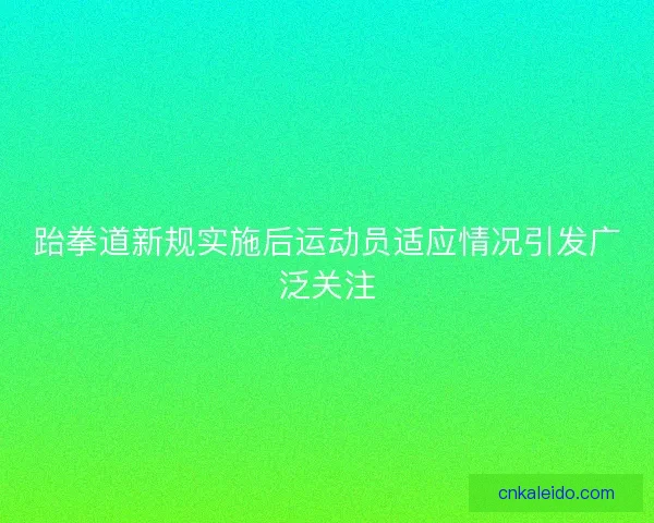 跆拳道新规实施后运动员适应情况引发广泛关注