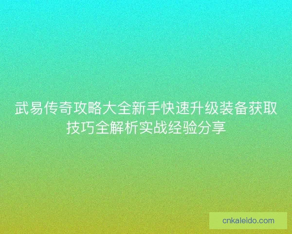武易传奇攻略大全新手快速升级装备获取技巧全解析实战经验分享